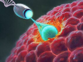 DNA Nanobots